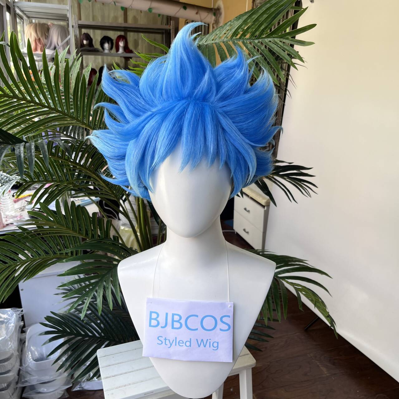 [Styled Wig]Twisted Wig Wonder - Men Accessories Style ulasan dan harga